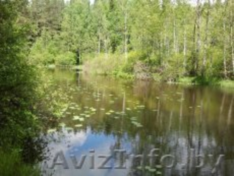 Продается дача в Раубичах (с/т "Узборье") - Изображение #3, Объявление #1220432