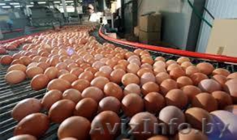 ПРОЕКТ ХОЛОДОСНАБЖЕНИЯ. Проектирование раздела «Холодоснабжение». Прое... - Изображение #3, Объявление #1213478