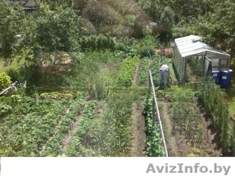 Дача Брестское напр 50 км Много фото - Изображение #3, Объявление #1237387