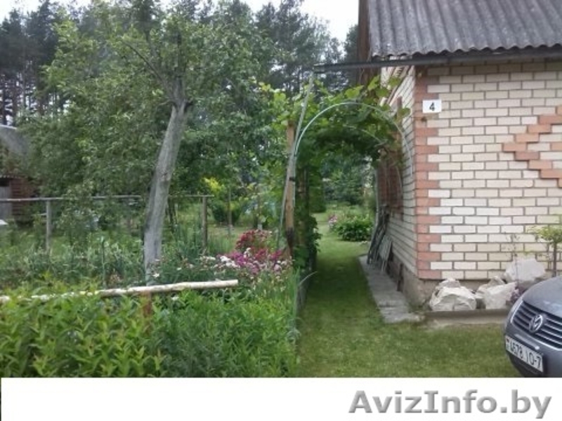 Дача Брестское напр 50 км Много фото - Изображение #6, Объявление #1237387