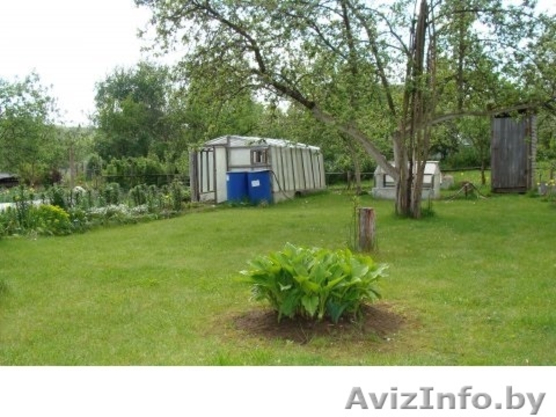 Дача Брестское напр 50 км Много фото - Изображение #4, Объявление #1237387