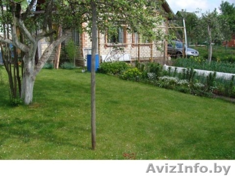 Дача Брестское напр 50 км Много фото - Изображение #7, Объявление #1237387