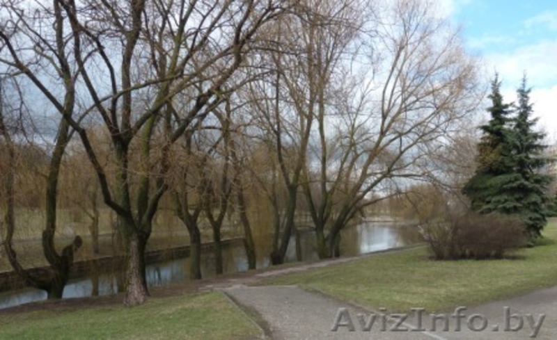 Двухкомнатная квартира ул. Олега Кошевого, 19. - Изображение #7, Объявление #1244497