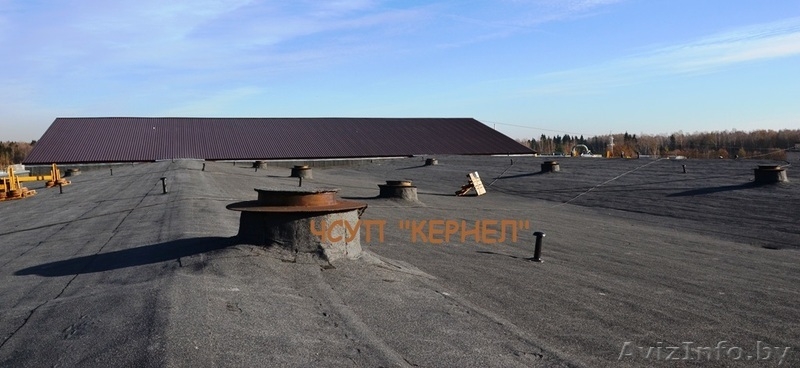 Кровля и фасады - Изображение #6, Объявление #1254062