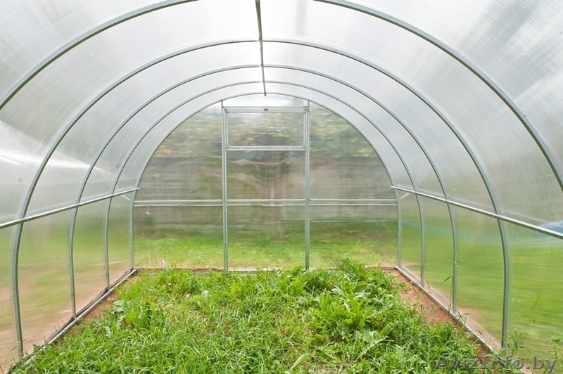 Теплицы из поликарбоната / Бесплатная доставка! - Изображение #2, Объявление #1251454