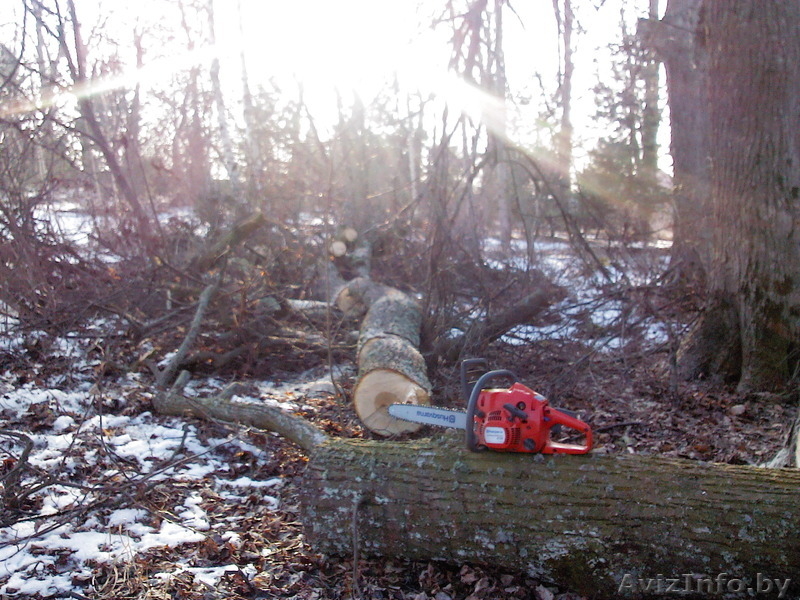 Культивация мотоблоком,покос травы - Изображение #3, Объявление #1254852