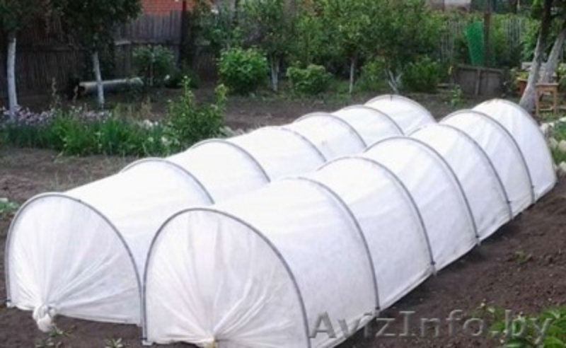 Сибирские теплицы по лучшим ценам! - Изображение #6, Объявление #1251462