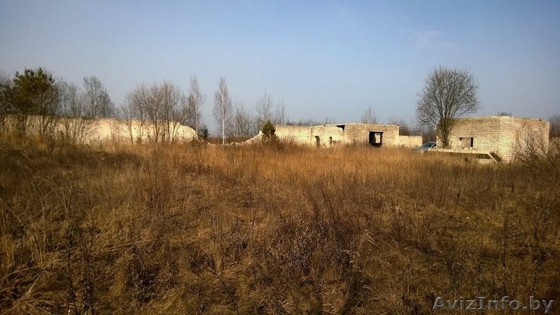 Продам участок, д. Курково, Смолевичский р-н, Московское напр., 29 км от МКАД! - Изображение #4, Объявление #1268200