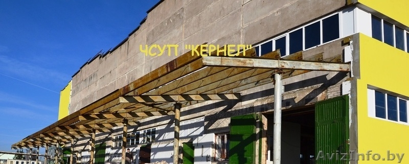 Кровельные, фасадные работы - Изображение #1, Объявление #1268143