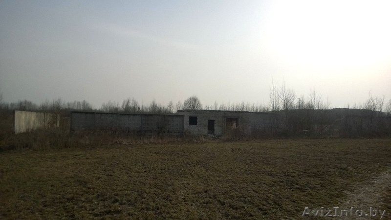 Продам участок, д. Курково, Смолевичский р-н, Московское напр., 29 км от МКАД! - Изображение #5, Объявление #1268200