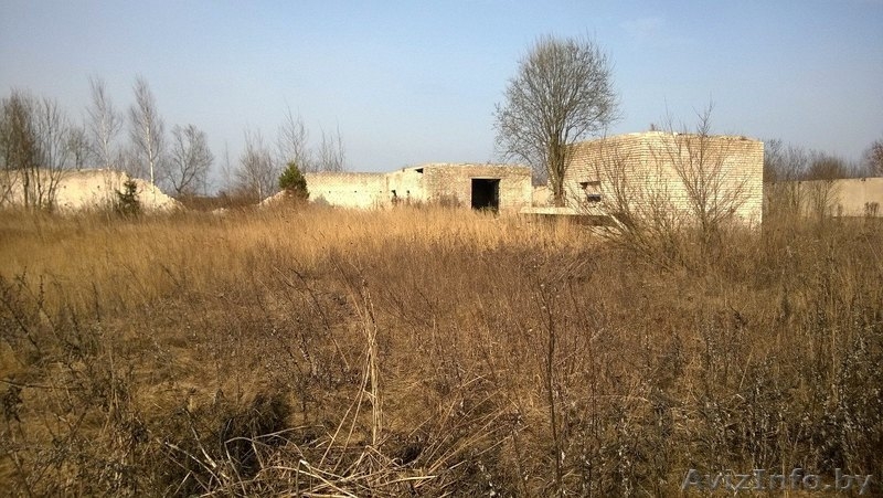 Продам участок, д. Курково, Смолевичский р-н, Московское напр., 29 км от МКАД! - Изображение #7, Объявление #1268200