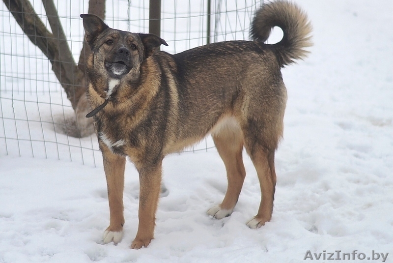 Вита.Юная охранница ищет постоянную работу. - Изображение #2, Объявление #1262692