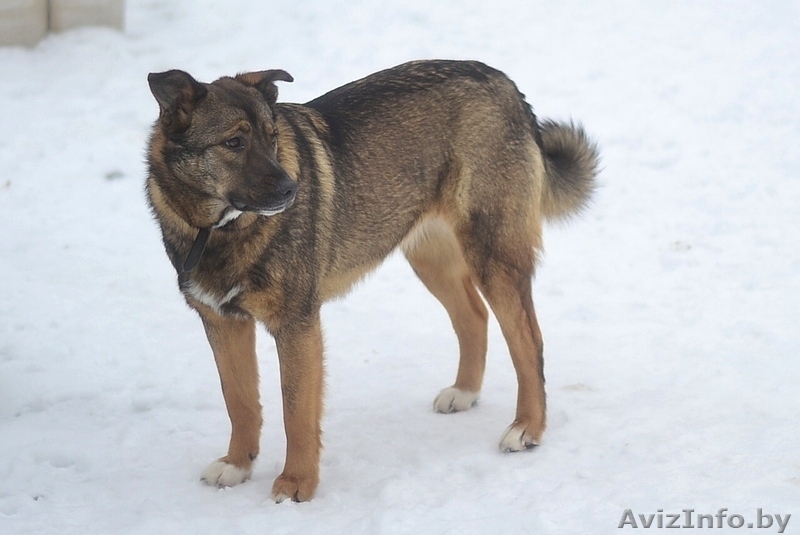 Вита.Юная охранница ищет постоянную работу. - Изображение #3, Объявление #1262692