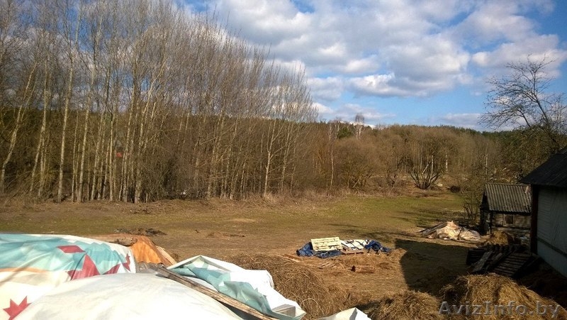 Продам участок 36 соток, г.Минск, Уручье, Боровая! - Изображение #3, Объявление #1268190