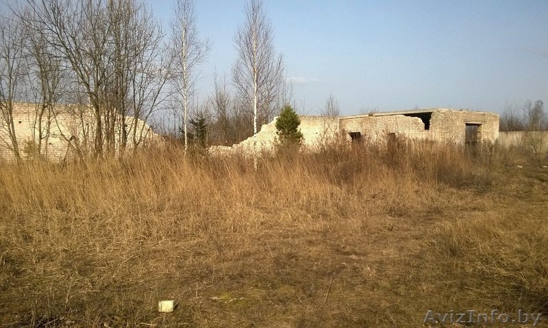 Продам участок, д. Курково, Смолевичский р-н, Московское напр., 29 км от МКАД! - Изображение #8, Объявление #1268200