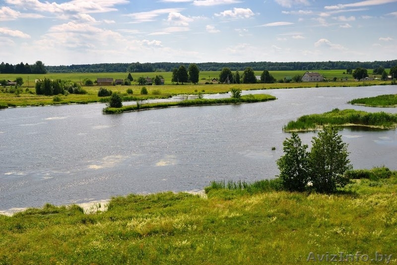 Продается  земельный   участок (д.Вишнево) - Изображение #3, Объявление #1272811
