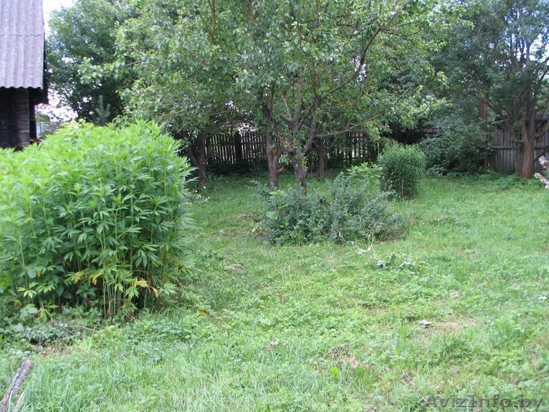 Сдаю дачу на ИЮЛЬ,АВГ,СЕНТ,48км.от Минска - Изображение #7, Объявление #1285885