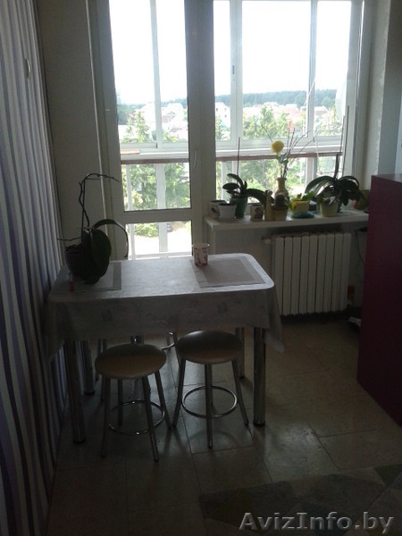 1-комнатная в Колодищах - Изображение #5, Объявление #1290879