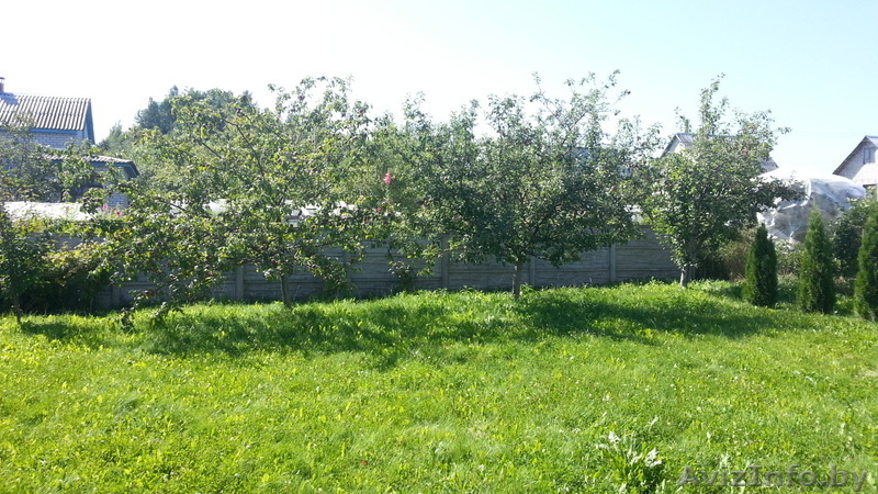 Дача 15 км от мкад, (Заславль) 3 км - Изображение #6, Объявление #1317512