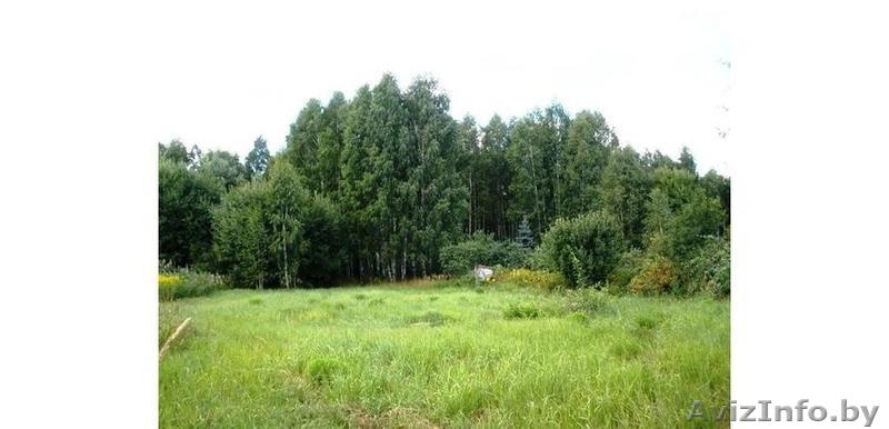 Дом в п. Михановичи. 60% готовности. - Изображение #6, Объявление #1315626