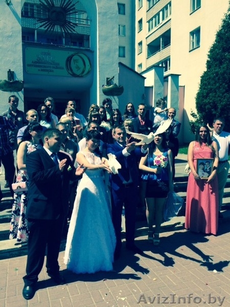 Белые голуби на свадьбу Свадебные голуби. - Изображение #5, Объявление #1317700