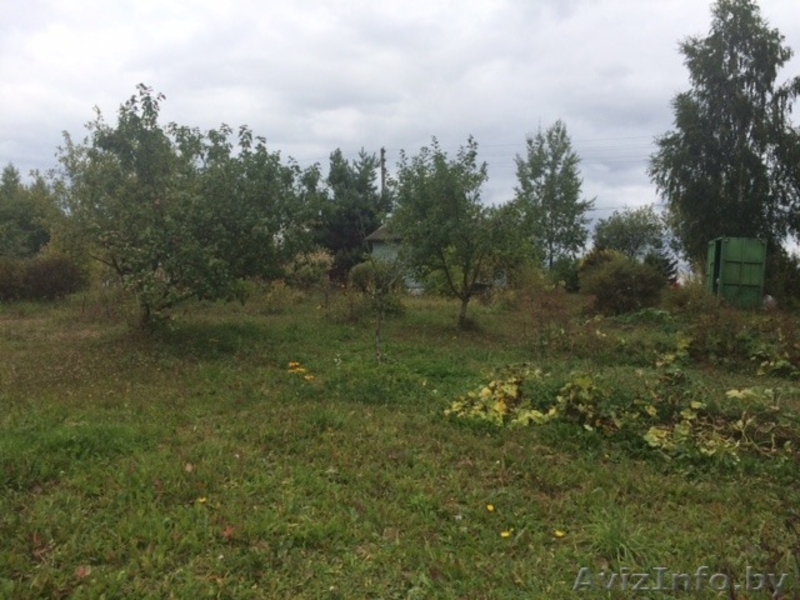 Продам дачу в Минском районе - Изображение #4, Объявление #1291932