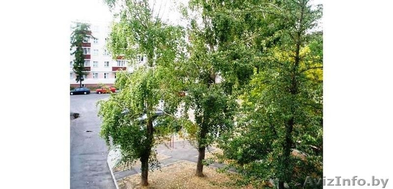 2-х квартира недалеко от м.Партизанская. - Изображение #4, Объявление #1300125