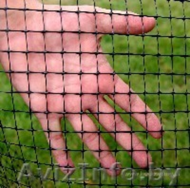 Сетка от кротов под газон пластиковая  - Изображение #2, Объявление #1318660