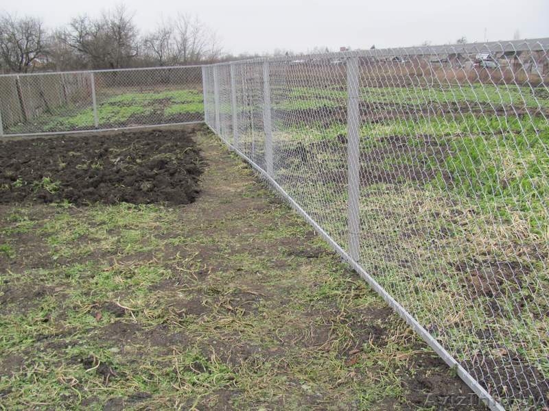 Забор из сетки рабицы - Изображение #4, Объявление #1313790