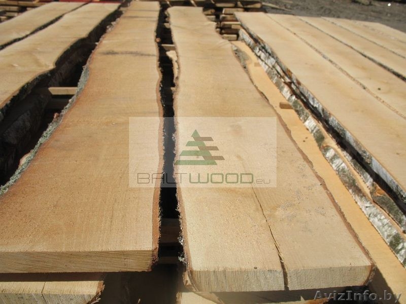 Предприятие закупает оптом необрезную / обрезную доску берёзы. - Изображение #3, Объявление #1324544