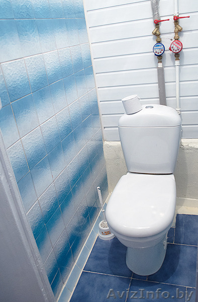 Отличная однокомнатная квартира в Зеленом Луге. - Изображение #9, Объявление #1343616