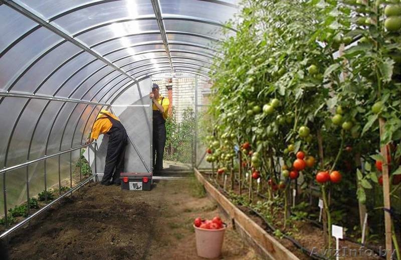 Теплица "Урожай Сотка-2015" 3х4м из трубы 25х25мм. Доставка бесплатно! - Изображение #3, Объявление #1341621