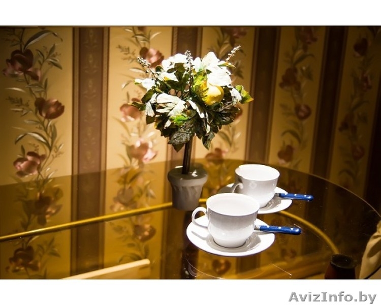  ул. Киселева 11 ст.м. "Площадь Победы" - Изображение #2, Объявление #1335051