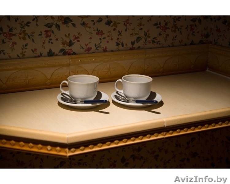  ул. Киселева 11 ст.м. "Площадь Победы" - Изображение #6, Объявление #1335051