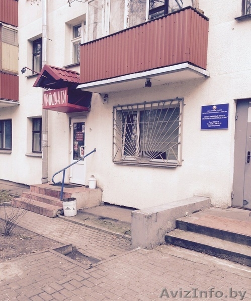 Магазин по ул. Кнорина 13, 30 кв.м. - Изображение #3, Объявление #1348017