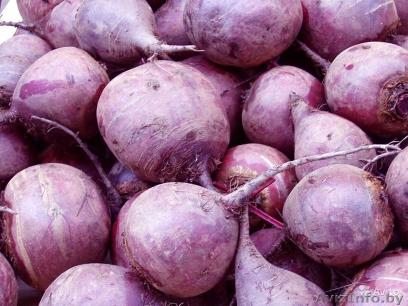 Продам овощи высокого качества - Изображение #6, Объявление #1345909