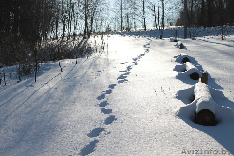 Усадьба «Аколіца» - Изображение #3, Объявление #1365132