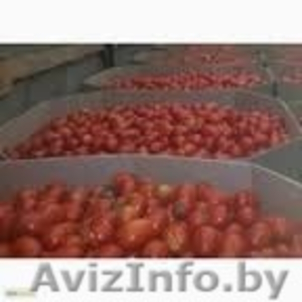 Ящик,лоток под яблоко ,грушу,клубнику,персик,черешню - Изображение #4, Объявление #1363601