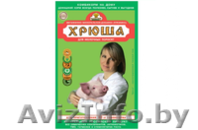 Витаминно-минеральная добавка для свиней 'Борька'эконом,500г - Изображение #2, Объявление #1364688