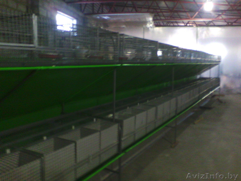 Клетки для Кролика Птицы - Изображение #3, Объявление #1363776