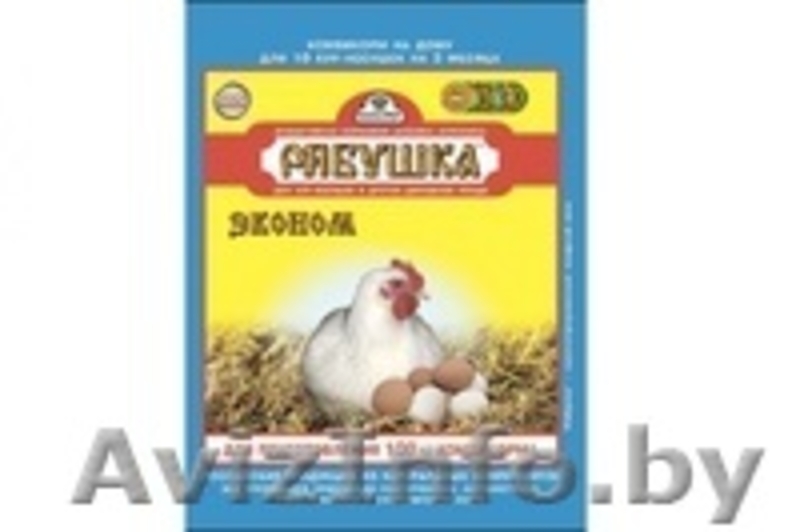 Витаминно-минеральная добавка (премикс) рябушка эконом, 500г - Изображение #2, Объявление #1364684