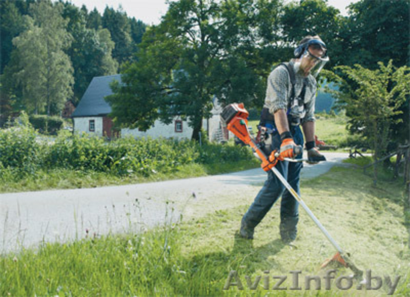 Обработка дачного участка от клещей - Изображение #3, Объявление #1387910