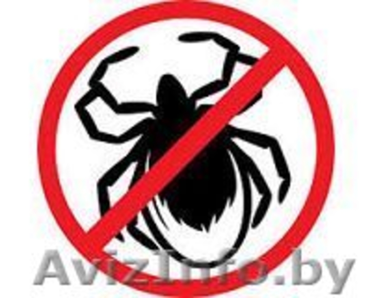 Обработка дачного участка от клещей - Изображение #1, Объявление #1387910