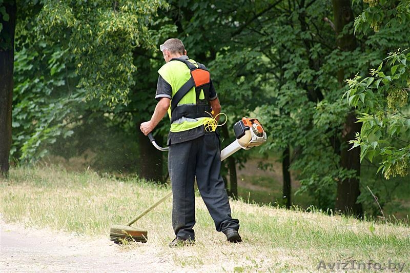 Культивация земли.Скосить траву - Изображение #3, Объявление #1387908