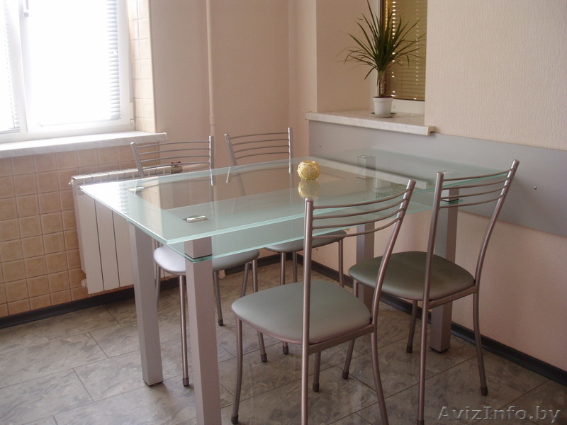 Квартира  однокомнатная в аренду по ул. Воронянского,25. - Изображение #8, Объявление #344436