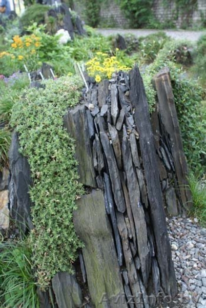 Создание красоты на вашем участке - Изображение #3, Объявление #1397967