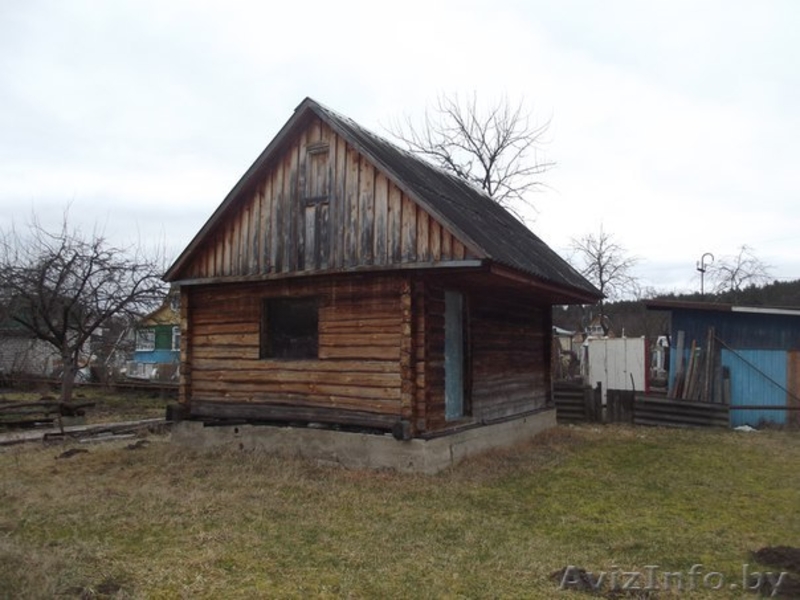 продам дачу под Сморгонью в садовом товариществе "Завилье" - Изображение #5, Объявление #1397385