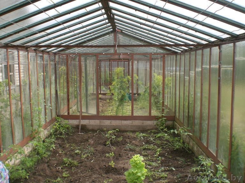 Продается усадьба в деревне Бригидово Вилейского района Минской обл. - Изображение #7, Объявление #1395219