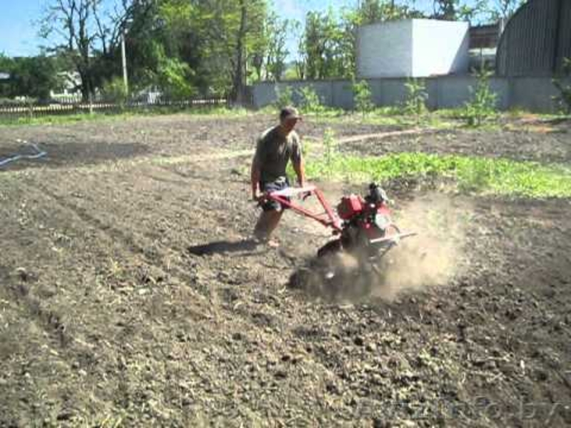 Покос травы, валка деревьев, вырубка кустарников - Изображение #3, Объявление #1109204