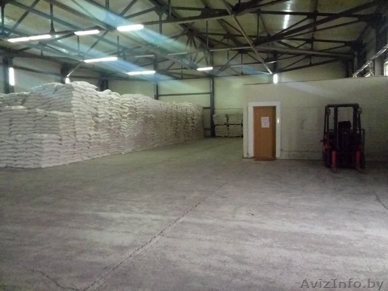 Муку пшеничную из Казахстана реализуем на экспорт - Изображение #1, Объявление #1390922